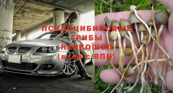 мдпв Армянск