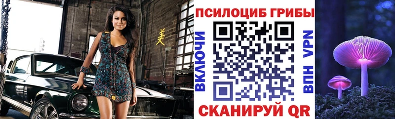 Галлюциногенные грибы Psilocybe  наркота  Феодосия 